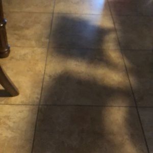 Meet your Posher, Consuelo